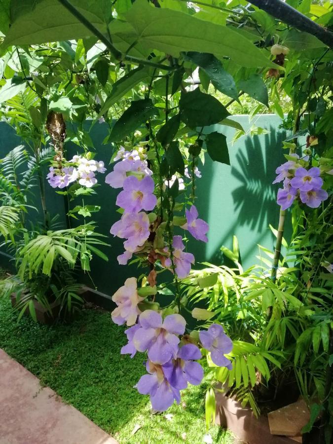 Heaven In Satinwoods Hotel Tangalle Bagian luar foto